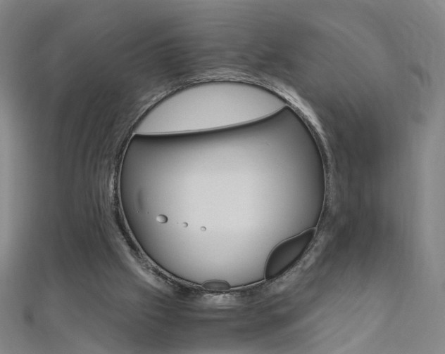 X0000110690057200906121104