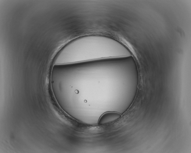 X0000110690059200906121104