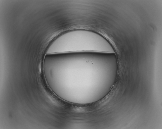 X0000110690062200906121104