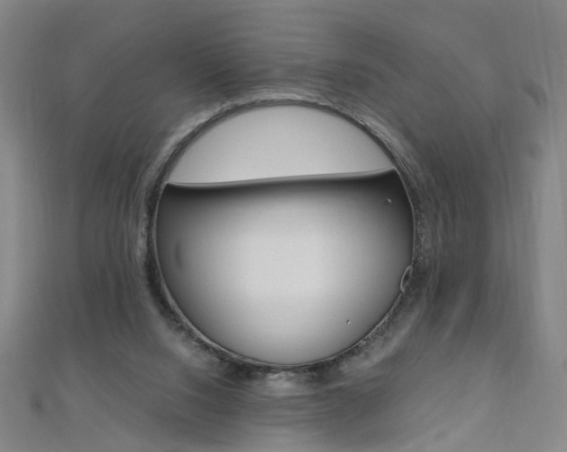 X0000110690064200906121104