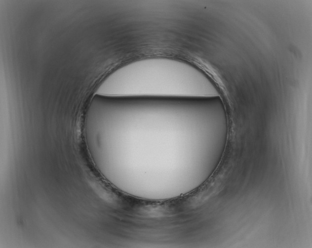 X0000110690065200906121104