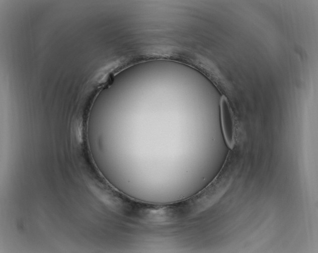 X0000110690068200906121104