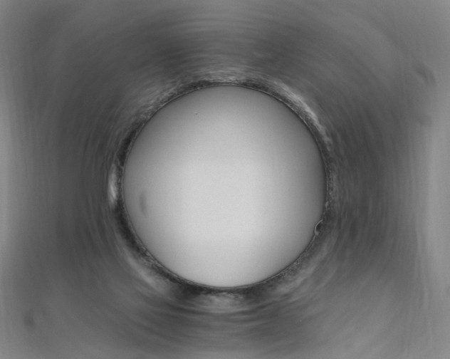 X0000110690069200906121104