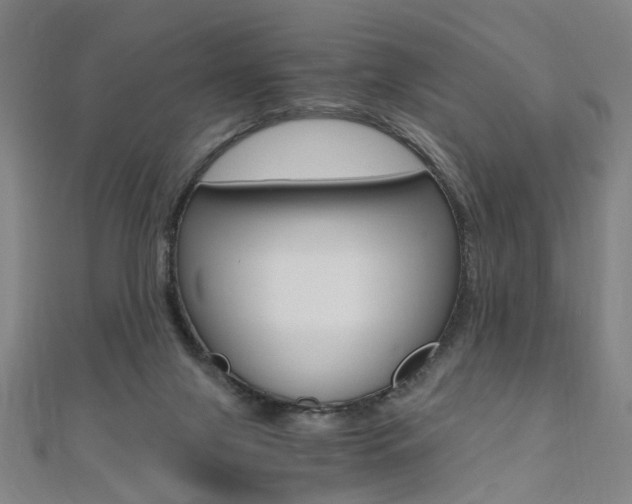 X0000110690071200906121104