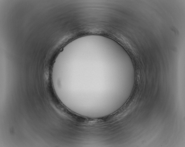 X0000110690072200906121104