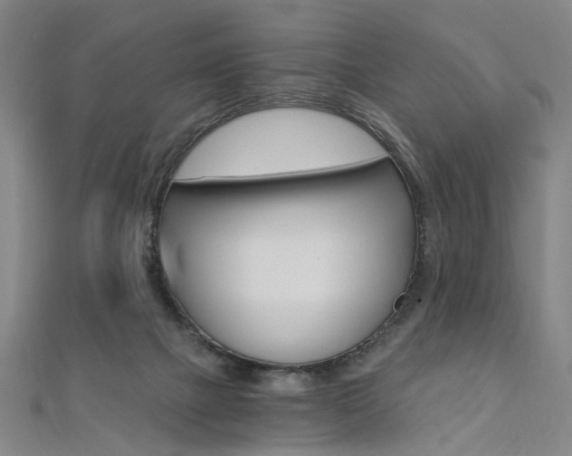 X0000110690073200906121104