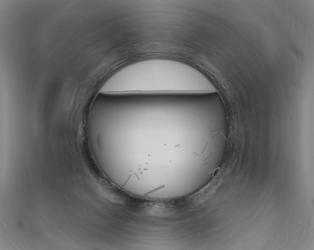 X0000110690074200906121105