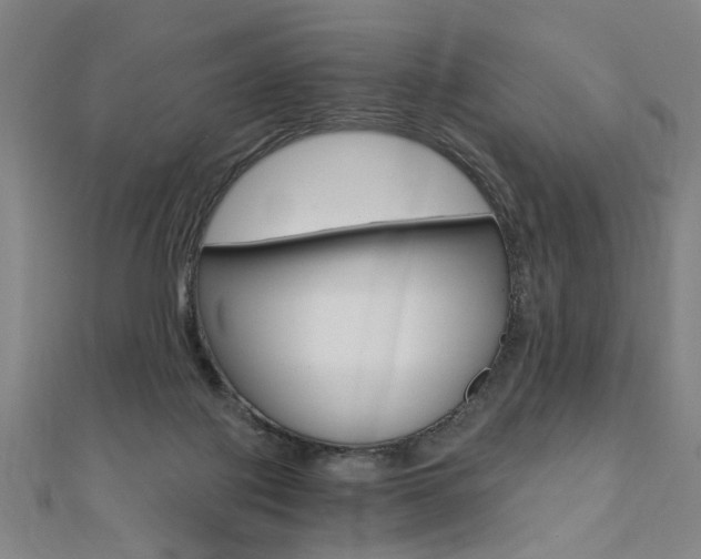 X0000110690075200906121105