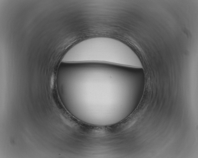 X0000110690076200906121105