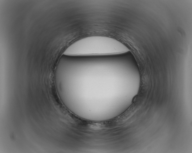 X0000110690079200906121105