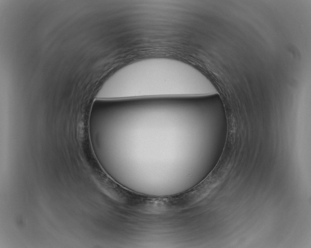 X0000110690080200906121105