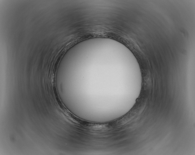 X0000110690081200906121105