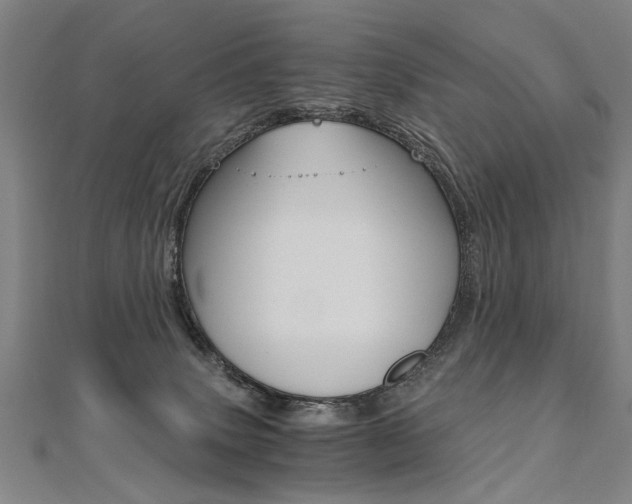 X0000110690083200906121105