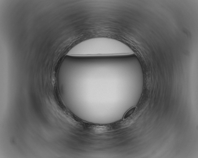 X0000110690085200906121105