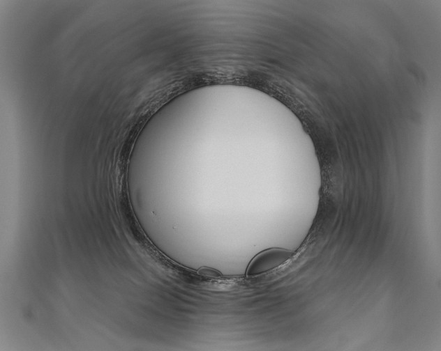 X0000110690086200906121105