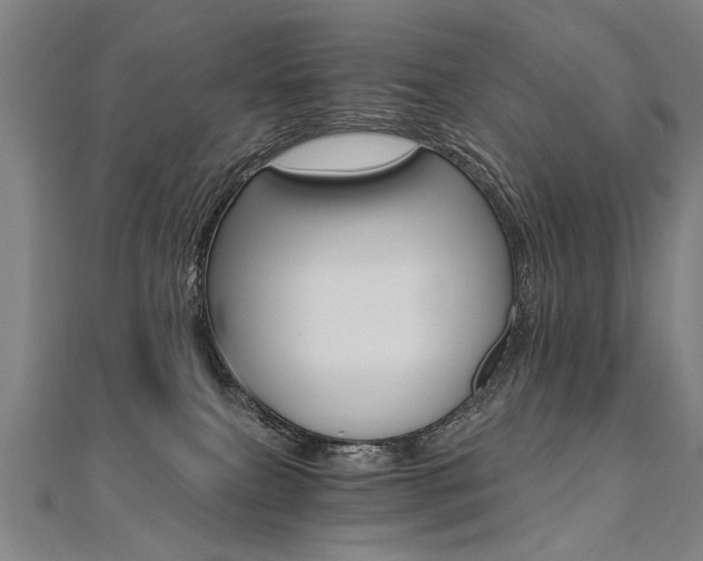 X0000110690087200906121105