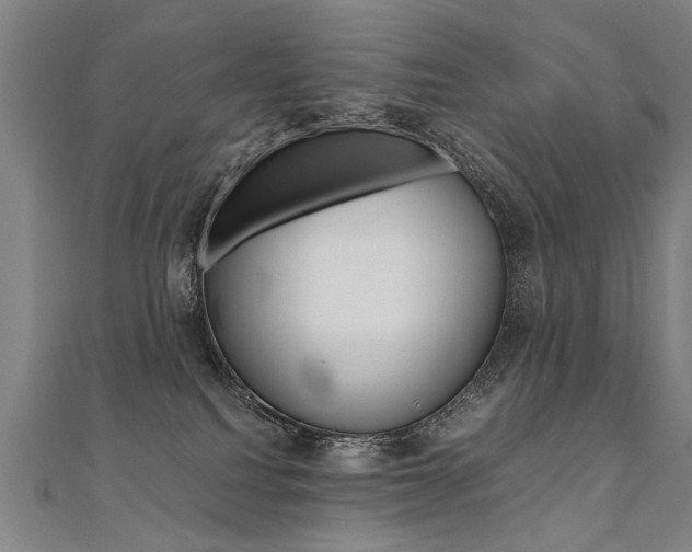 X0000110690088200906121105