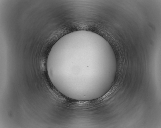 X0000110690090200906121105