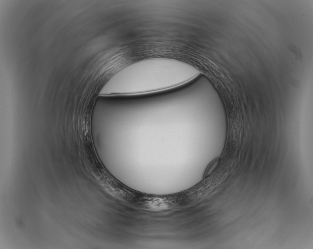 X0000110690091200906121105