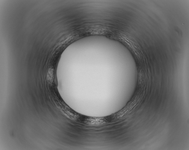 X0000110690093200906121105