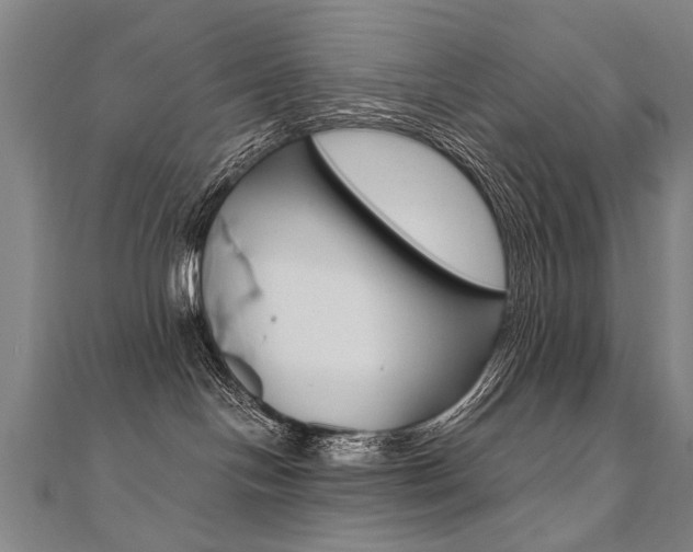 X0000110690094200906121105