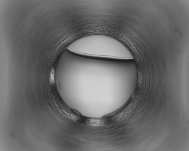 X0000110690095200906121105