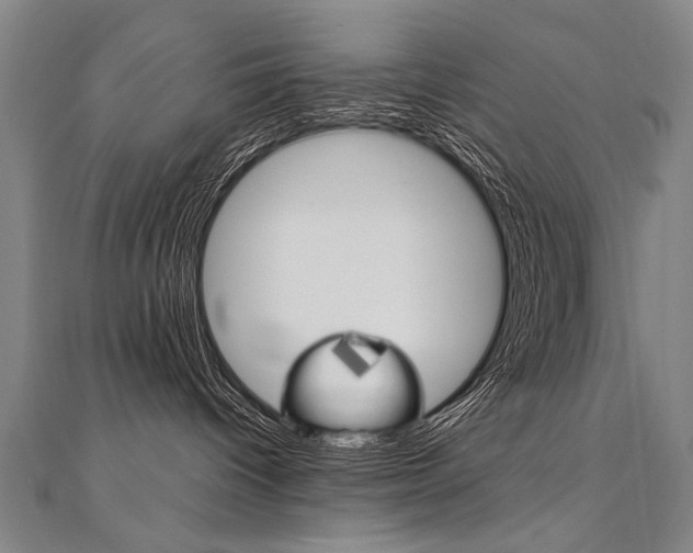 X0000110690096200906121105