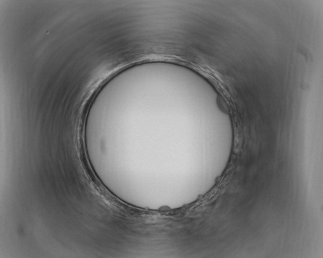 X0000110690098200906121104