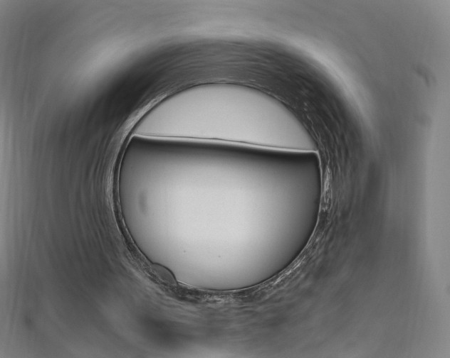 X0000110690099200906121104