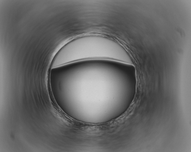 X0000110690100200906121104