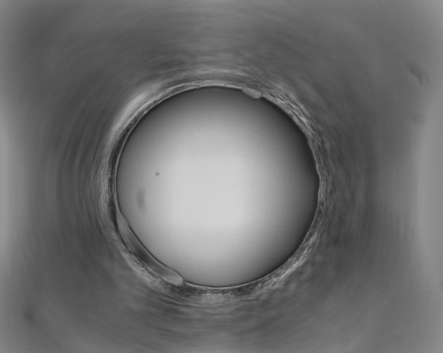 X0000110690101200906121104