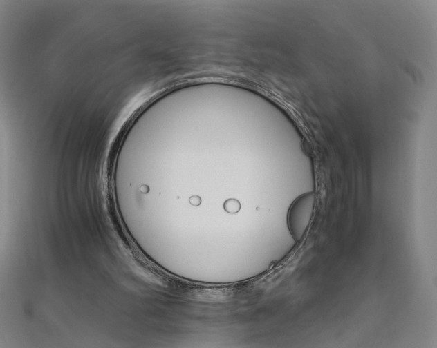 X0000110690102200906121104