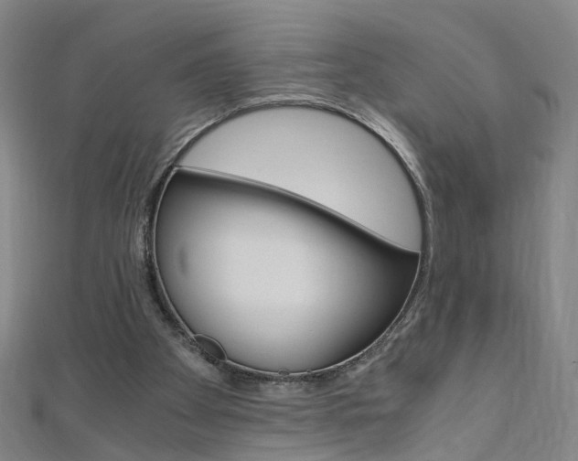 X0000110690105200906121104