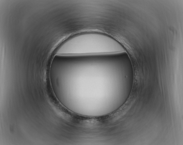 X0000110690112200906121104