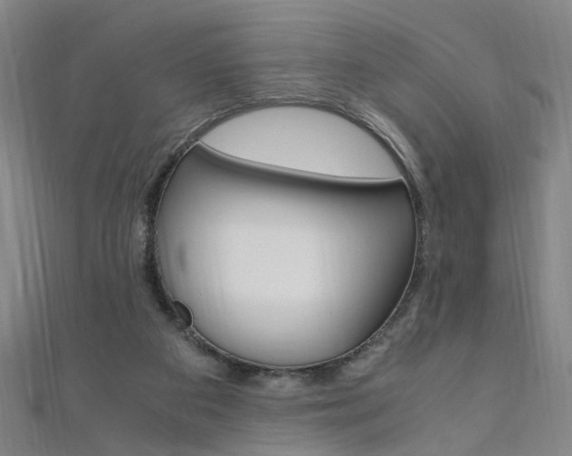 X0000110690113200906121104