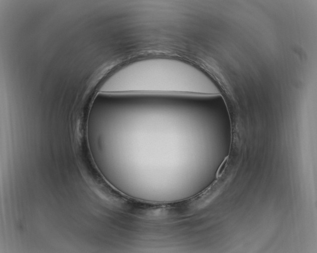 X0000110690116200906121104