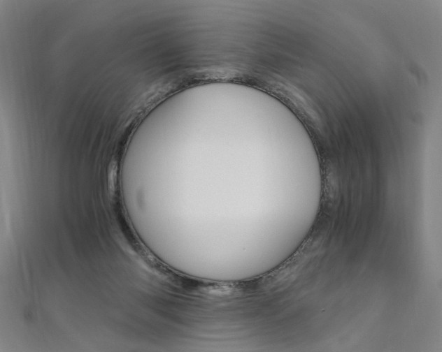 X0000110690118200906121104