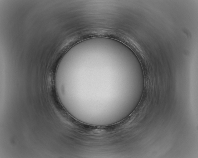 X0000110690119200906121104