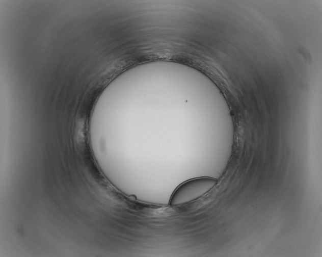 X0000110690122200906121104