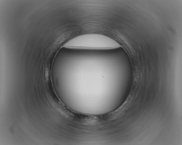 X0000110690124200906121104