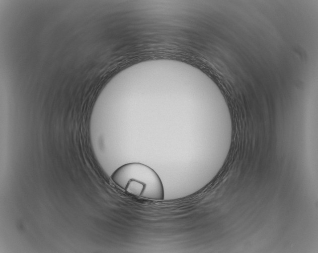 X0000110690129200906121104