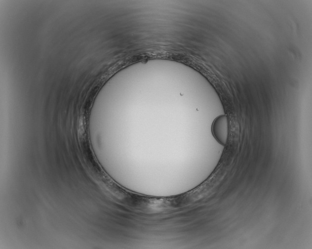 X0000110690130200906121104