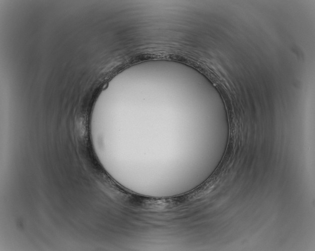 X0000110690131200906121104