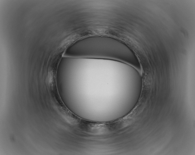 X0000110690132200906121104