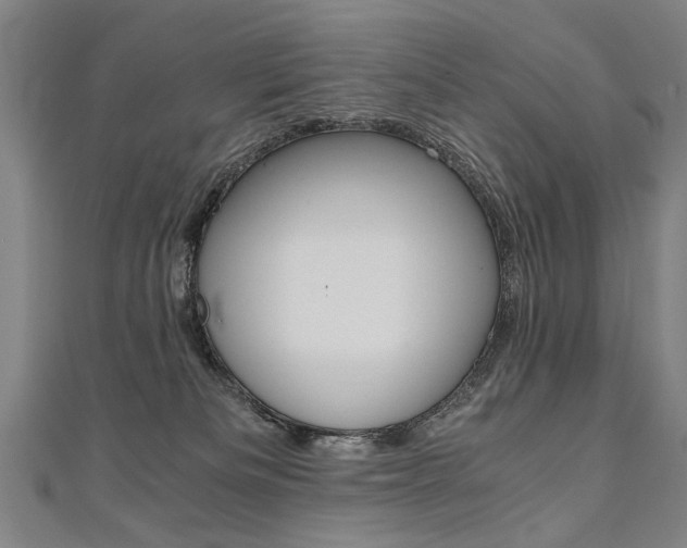 X0000110690133200906121104