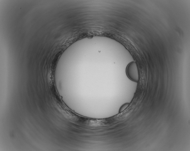 X0000110690134200906121104