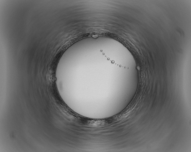 X0000110690135200906121103