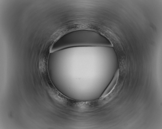 X0000110690136200906121103