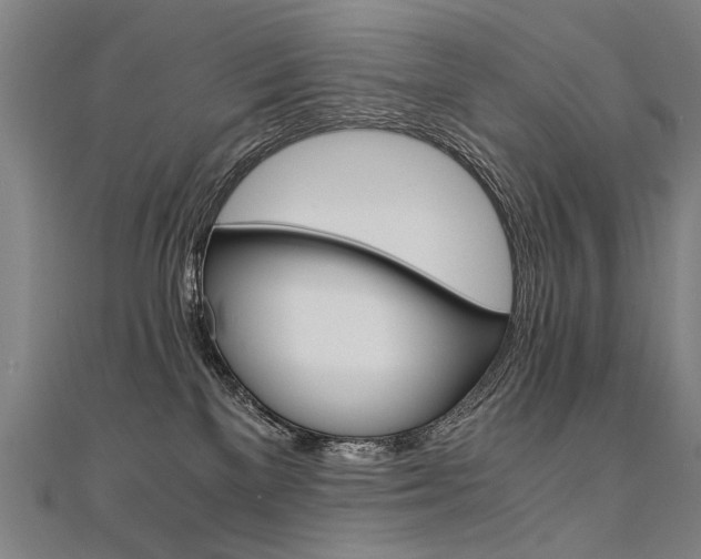 X0000110690137200906121103