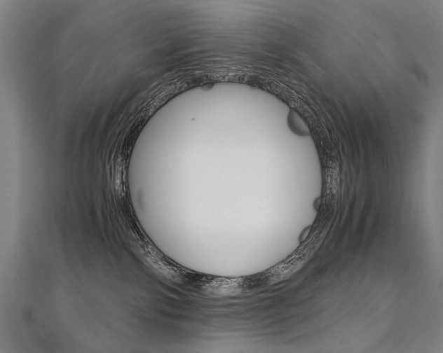 X0000110690138200906121103